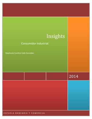 Insights
Consumidor Industrial.
Stephanie Cynthia Valle González.

2014

ESCUELA BANCARIA Y COMERCIAL

 