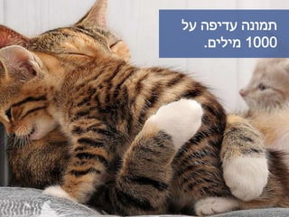 ‫על‬ ‫עדיפה‬ ‫תמונה‬
1000‫מילים‬.
 