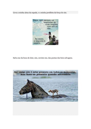 Livra a minha alma da espada, e a minha predileta da força do cão.




Salva-me da boca do leão; sim, ouviste-me, das pontas dos bois selvagens.
 