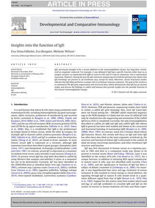 Please cite this article in press as: Edholm, E.-S., et al., Insights into the function of IgD. Dev. Comp. Immunol. (2011), doi:10.1016/j.dci.2011.03.002
ARTICLE IN PRESS
GModel
DCI-1584; No.of Pages8
Developmental and Comparative Immunology xxx (2011) xxx–xxx
Contents lists available at ScienceDirect
Developmental and Comparative Immunology
journal homepage: www.elsevier.com/locate/dci
Insights into the function of IgD
Eva-Stina Edholm, Eva Bengten, Melanie Wilson∗
University of Mississippi Medical Center, 2500 North State Street, Jackson, MS 39216, United States
a r t i c l e i n f o
Article history:
Received 6 December 2010
Received in revised form 2 February 2011
Accepted 6 March 2011
Available online xxx
Keywords:
Teleosts
Immunoglobulin
IgD
Alternative splicing
B cells
a b s t r a c t
IgD, previously thought to be a recent addition to the immunoglobulin classes, has long been consid-
ered an enigmatic molecule. For example, it was debated if IgD had a speciﬁc function other than as an
antigen receptor co-expressed with IgM on naive B cells and if it had an important role in mammalian
immunity. However, during the past decade extensive sequencing of vertebrate genomes has shown that
IgD homologs are present in all vertebrate taxa, except for birds. Moreover, recent functional studies
indicate that IgD likely performs a unique role in vertebrate immune responses. The goal of this review is
to summarize the IgD gene organization and structural data, which demonstrate that IgD has an ancient
origin, and discuss the ﬁndings in catﬁsh and humans that provide insight into the possible function of
this elusive immunoglobulin isotype.
© 2011 Elsevier Ltd. All rights reserved.
1. Introduction
It is well known that teleost B cells share many similarities with
mammalian B cells, including immunoglobulin (Ig) gene rearrange-
ments, allelic exclusion, production of membrane Ig and secreted
Ig forms (reviewed in Bengten et al., 2000, 2006a; Flajnik and
Kasahara, 2010; Miller et al., 1994; Solem and Stenvik, 2006; Warr,
1995) and the use of B cell receptor (BCR) accessory proteins CD79a
and CD79b for Ig signal transduction (Edholm et al., 2010; Sahoo
et al., 2008). Also, it is established that IgM is the predominant
Ig isotype found in teleost serum, while the other Ig isotypes, for
example, IgD in channel catﬁsh, Ictalurus punctatus (Bengten et al.,
2002; Edholm et al., 2010) and IgT in rainbow trout, Oncorhynchus
mykiss (Zhang et al., 2010), are found in lesser amounts. In most
teleost, serum IgM is expressed as a tetramer, although IgM
monomers have been described in giant grouper, Epinephelus itaira
(Clem, 1971) and sheepshead, Archosargus probatocephalus (Lobb
and Clem, 1981). In contrast, serum IgT is expressed as a monomer
in rainbow trout serum, and a tetramer in gut mucous (Zhang et al.,
2010). At present serum IgD has only been described in catﬁsh by
using Western blot analyses and whether it exists as a monomer
has yet to be determined. Currently, IgT has been identiﬁed at
the cDNA/DNA level in zebraﬁsh Danio rerio (IgZ; Danilova et al.,
2005), common carp, Cyprinus carpio (Savan et al., 2005a), rainbow
trout (Hansen et al., 2005), Japanese pufferﬁsh, Takifugu rubripes
(Savan et al., 2005b), grass carp, Ctenopharyngodon idella (Xiao et al.,
2010), three-spined stickleback, Gasterosteus aculeatus (Gambon-
∗ Corresponding author. Tel.: +1 601 984 1719; fax: +1 601 984 1708.
E-mail address: mwilson@umc.edu (M. Wilson).
Deza et al., 2010), and Atlantic salmon, Salmo salar (Tadiso et al.,
2010). However, PCR and genomic sequencing studies have failed
to isolate a catﬁsh IgT gene homolog. Also, since IgT transcripts
were not found among the ∼500,000 catﬁsh expressed sequence
tags in the NCBI database it is likely that the issue of catﬁsh IgT will
only be resolved once the sequencing and annotation of the catﬁsh
IgH locus (IGH) is completed. Currently, the only immunoglobulins
described in catﬁsh are IgM and IgD and catﬁsh IgM, like teleost
IgM in general, has been well studied and shown to be a structural
and functional homolog of mammalian IgM (Bengten et al., 2000,
2006b; Warr, 1995). In contrast, much less is known about teleost
IgD function. Hence, this review will focus on IgD and since IgD
has often been described as the most enigmatic vertebrate Ig, the
structure and function of teleost IgD is discussed in the context of
what we know concerning mammalian (and other vertebrate) IgD
structure and function.
IgD was ﬁrst discovered in human serum as a myeloma pro-
tein in 1965 and then in a companion study was shown to be
present in normal serum (Rowe and Fahey, 1965a,b). Later it was
identiﬁed on the surface of B cells (Van Boxel et al., 1972). Yet a
unique function, in addition to initiating BCR signal transduction
in mature naive B cells, was not identiﬁed until recently (Chen
et al., 2009), and the signiﬁcance or function of IgD has been a
subject of debate (reviewed in Geisberger et al., 2006). For exam-
ple, it was hypothesized that since anti-Ig␮ treatment of mouse
immature B cells resulted in clonal anergy or clonal deletion, the
signaling through IgD in mature B cells would result in a quali-
tative different signal from that of IgM (Nossal et al., 1979; Pike
et al., 1982). Support for this notion came from studies which used
anti-Ig␮ or anti-Ig␦ antibodies to crosslink IgM and IgD on the
surface of murine or human leukemia cell lines and these exper-
0145-305X/$ – see front matter © 2011 Elsevier Ltd. All rights reserved.
doi:10.1016/j.dci.2011.03.002
 