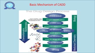 In silico drug design/Molecular docking | PDF