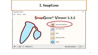3. Primer3Plus
2. SnapGene
20
 
