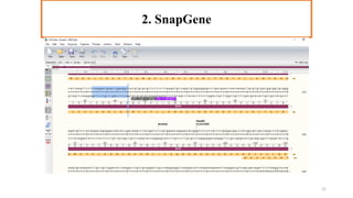 3. Primer3Plus
2. SnapGene
21
 