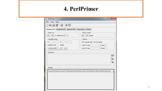 4. PerlPrimer
4. PerlPrimer
25
 
