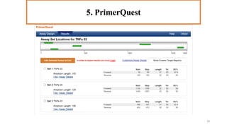 5. PrimerQuest
5. PrimerQuest
28
 