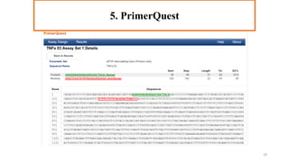 5. PrimerQuest
5. PrimerQuest
29
 
