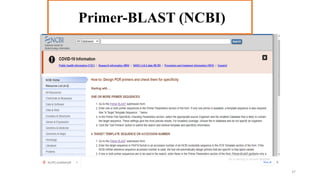 Primer-BLAST (NCBI)
37
 