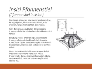 Insisi Abdomen Pada Anak PPTX
