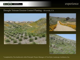 experience Drought Tolerant Erosion Control Planting  – Riverside, CA *completed by Tim Jachlewski while Principal/ Project Manager of Van Dyke Landscape Architects, Inc. 