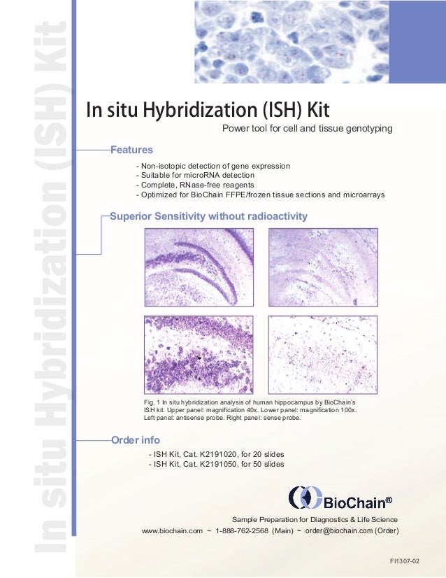 Biochain In situ Hybridization (ISH) Kit