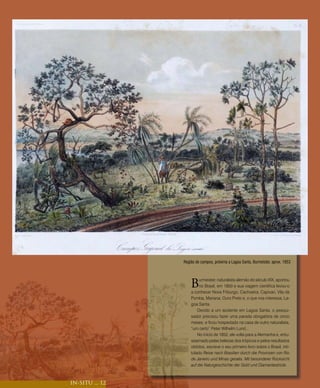 Região de campos, próxima a Lagoa Santa, Burmeister, aprox. 1853




                     B    urmeister, naturalista alemão do século XIX, aportou
                          no Brasil, em 1850 e sua viagem cientifica levou-o
                     a conhecer Nova Friburgo, Cachoeira, Capivari, Vila da
                     Pomba, Mariana, Ouro Preto e, o que nos interessa, La-
                     goa Santa.
                         Devido a um acidente em Lagoa Santa, o pesqui-
                     sador precisou fazer uma parada obrigatória de cinco
                     meses, e ficou hospedado na casa de outro naturalista,
                     “um certo” Peter Wilhelm Lund...
                         No início de 1852, ele volta para a Alemanha e, entu-
                     siasmado pelas belezas dos trópicos e pelos resultados
                     obtidos, escreve o seu primeiro livro sobre o Brasil, inti-
                     tulado Reise nach Brasilien durch die Provinzen von Rio
                     de Janeiro und Minas geraës. Mit besonderer Rücksicht
                     auf die Naturgeschichte der Gold und Diamantestricte.



IN-SITU ... 12
 