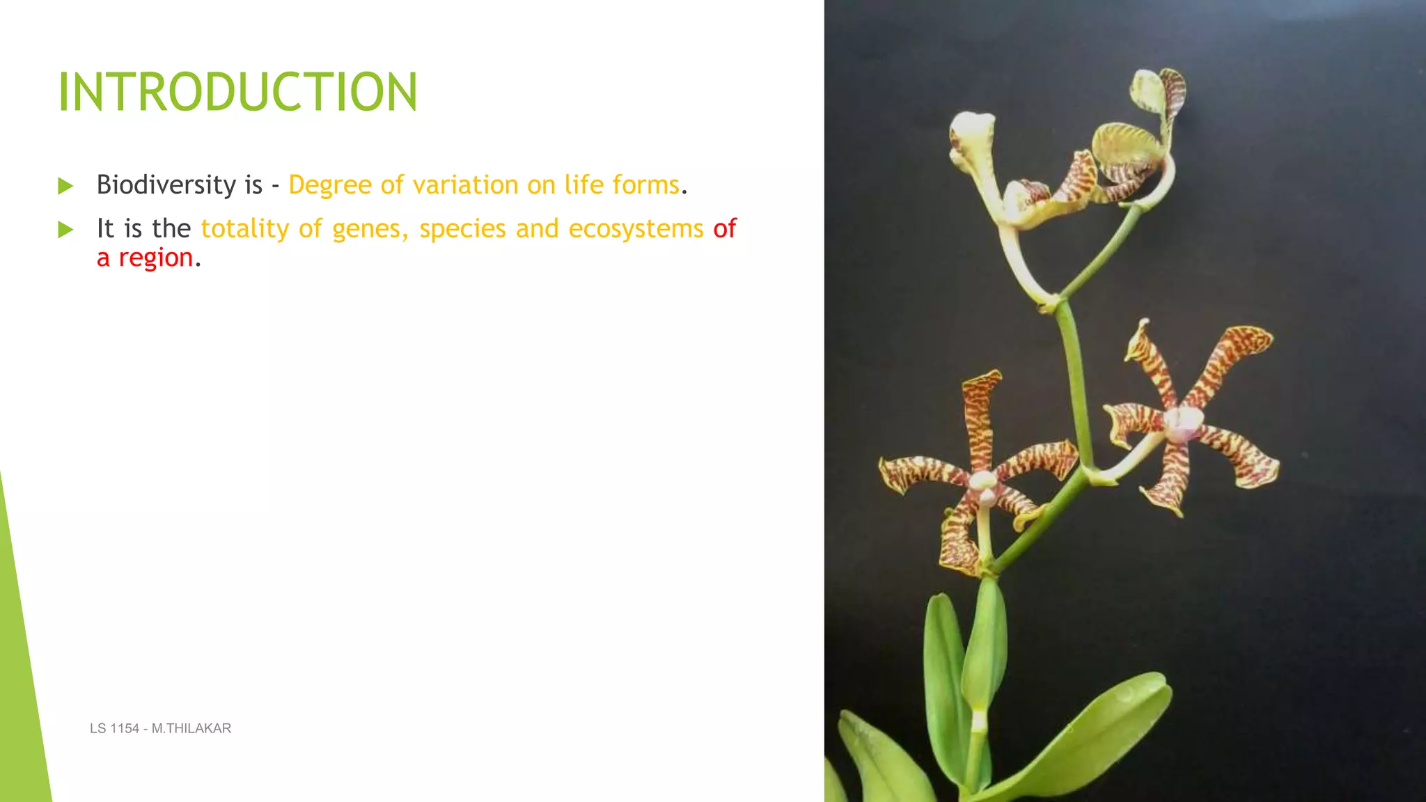 In situ and ex situ conservation PPT