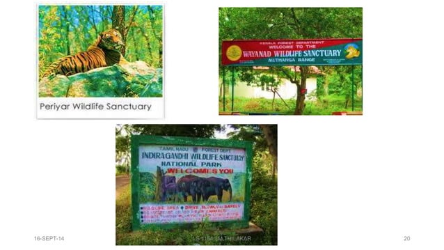 In situ and ex situ conservation PPT