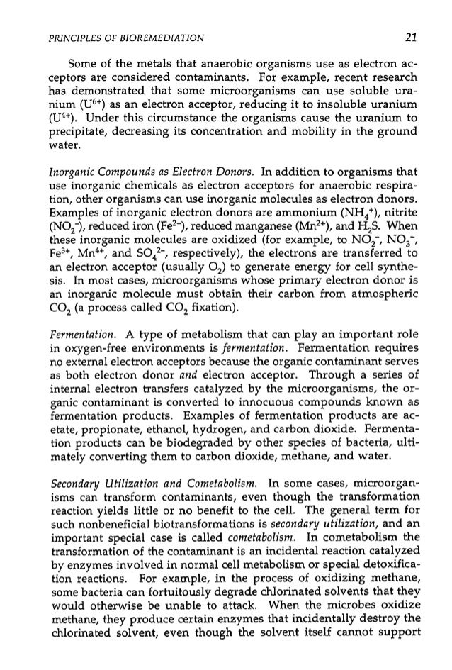 Health And Wellness Essay Vimy Ridge Essay Thesis Proposal Abraham Lincoln Essay Paper also How To Use A Thesis Statement In An Essay Bunburying Essay Help Essay On How To Start A Business