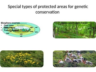 Conservation Typesa IN SITU CONSERVATION(introduction, aim and objectives, types ...