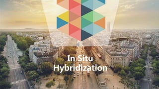 In Situ
Hybridization
 