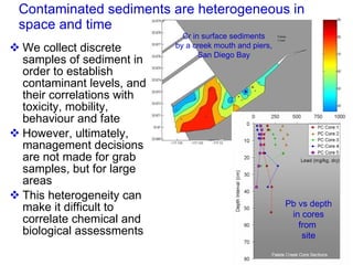 Contaminated sediments are heterogeneous in space and time We collect discrete samples of sediment in order to establish contaminant levels, and their correlations with toxicity, mobility, behaviour and fate However, ultimately, management decisions are not made for grab samples, but for large areas This heterogeneity can make it difficult to correlate chemical and biological assessments Cr in surface sediments by a creek mouth and piers, San Diego Bay Pb vs depth in cores from  site 