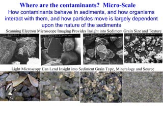 How contaminants behave In sediments, and how organisms interact with them, and how particles move is largely dependent upon the nature of the sediments Scanning Electron Microscope Imaging Provides Insight into Sediment Grain Size and Texture Light Microscopy Can Lend Insight into Sediment Grain Type, Mineralogy and Source Where are the contaminants?  Micro-Scale 