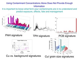 PAH signature TPH signature PCB signature Cu vs. background signatures Cu/ grain size signatures  Using Contaminant Concentrations Alone Does Not Provide Enough Information   It is important to know what form your contaminants are in to understand and predict exposure, effects, fate and management 