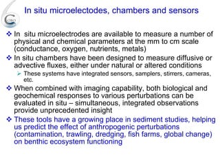 In situ microelectodes, chambers and sensors In  situ microelectrodes are available to measure a number of physical and chemical parameters at the mm to cm scale (conductance, oxygen, nutrients, metals) In situ chambers have been designed to measure diffusive or advective fluxes, either under natural or altered conditions  These systems have integrated sensors, samplers, stirrers, cameras, etc. When combined with imaging capability, both biological and geochemical responses to various perturbations can be evaluated in situ – simultaneous, integrated observations provide unprecedented insight These tools have a growing place in sediment studies, helping us predict the effect of anthropogenic perturbations (contamination, trawling, dredging, fish farms, global change) on benthic ecosystem functioning 