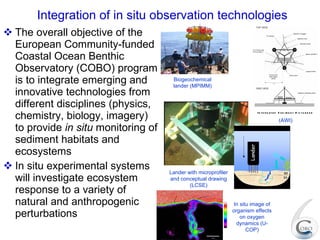 Integration of in situ observation technologies The overall objective of the European Community-funded Coastal Ocean Benthic Observatory (COBO) program is to integrate emerging and innovative technologies from different disciplines (physics, chemistry, biology, imagery) to provide  in situ  monitoring of sediment habitats and ecosystems   In situ experimental systems will investigate ecosystem response to a variety of natural and anthropogenic perturbations Biogeochemical lander (MPIMM) (AWI) Lander with microprofiler and conceptual drawing (LCSE) In situ image of organism effects on oxygen dynamics (U-COP) 