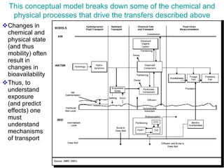 Changes in chemical and physical state (and thus mobility) often result in changes in bioavailability Thus, to understand exposure (and predict effects) one must understand mechanisms of transport This conceptual model breaks down some of the chemical and physical processes that drive the transfers described above 
