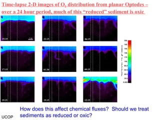 Time-lapse 2-D images of O 2  distribution from planar Optodes – over a 24 hour period, much of this “reduced” sediment is oxic  UCOP How does this affect chemical fluxes?  Should we treat sediments as reduced or oxic?  