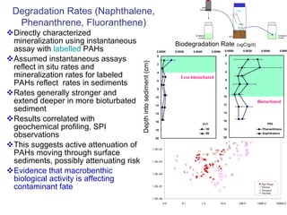Directly characterized mineralization using instantaneous assay with  labelled  PAHs Assumed instantaneous assays reflect in situ rates and mineralization rates for labeled PAHs reflect  rates in sediments  Rates generally stronger and extend deeper in more bioturbated sediment Results correlated with geochemical profiling, SPI observations This suggests active attenuation of PAHs moving through surface sediments, possibly attenuating risk Evidence that macrobenthic biological activity is affecting contaminant fate Degradation Rates (Naphthalene, Phenanthrene, Fluoranthene) 