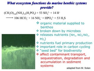 What ecosystem functions do marine benthic systems provide? organic material supplied to    benthos broken down by microbes releases nutrients ( NH 4 , NO 2 /NO 3 ,    PO 4 ) nutrients fuel primary production important role in carbon cycling “ seed bed” for biodiversity affect contaminant transport,    sequestration, degradation and    accumulation in sediment    systems (CH 2 O) 106 (NH 3 ) 16 (H 3 PO 4 ) + 53 SO 4 2-  + 14 H + 106 HCO 3 -  + 16 NH 4 +  + HPO 4 2-  + 53 H 2 S adapted from M. Solan 