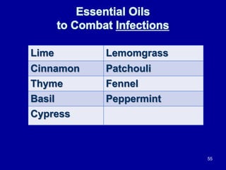 55
Lime Lemomgrass
Cinnamon Patchouli
Thyme Fennel
Basil Peppermint
Cypress
 