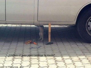 ¿Utiliza el gato para cambiar la rueda?...