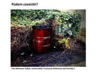 Podem coexistir?
Foix Montaner Ràfols. Institut Milà i Fontanals (Vilafranca del Penedès )
 