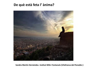 De què està feta l’ ànima?
Sandra Martín Hernández. Institut Milà i Fontanals (Vilafranca del Penedès )
 