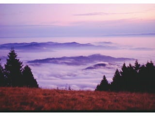 Insolation and temperature