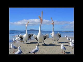 That was the funniest joke I ever heard  ... 