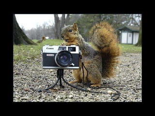 Okay, now on three, say acorn  .... 