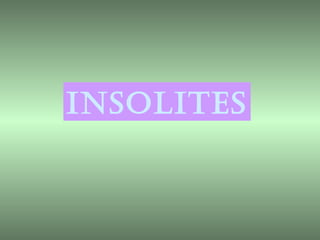 INSOLITES 