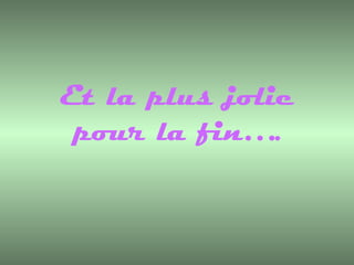 Et la plus jolie pour la fin…. 