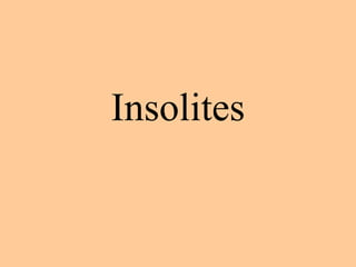 Insolites
 