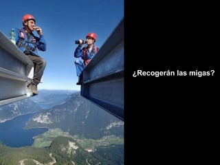 ¿Recogerán las migas? 