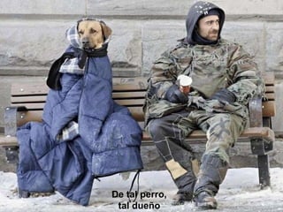 De tal perro, tal dueño 