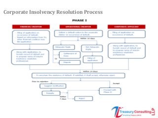 Corporate Insolvency Resolution Process
 