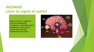 INSOMNIO
como se regula el sueño?
Nuestro sueño se regula en
virtud de promotores
circadianos, comandado por la
melatonina y de lo que se
conoce como presión
homeostática de sueño.
 