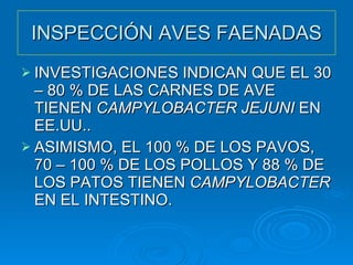 INSPECCIÓN AVES FAENADAS INVESTIGACIONES INDICAN QUE EL 30 – 80 % DE LAS CARNES DE AVE TIENEN  CAMPYLOBACTER JEJUNI  EN EE.UU.. ASIMISMO, EL 100 % DE LOS PAVOS, 70 – 100 % DE LOS POLLOS Y 88 % DE LOS PATOS TIENEN  CAMPYLOBACTER  EN EL INTESTINO. 