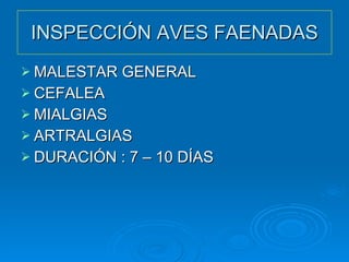INSPECCIÓN AVES FAENADAS MALESTAR GENERAL CEFALEA MIALGIAS ARTRALGIAS DURACIÓN : 7 – 10 DÍAS 
