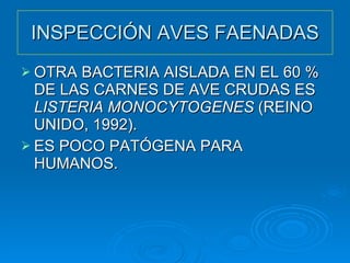 INSPECCIÓN AVES FAENADAS OTRA BACTERIA AISLADA EN EL 60 % DE LAS CARNES DE AVE CRUDAS ES  LISTERIA MONOCYTOGENES  (REINO UNIDO, 1992).  ES POCO PATÓGENA PARA HUMANOS. 