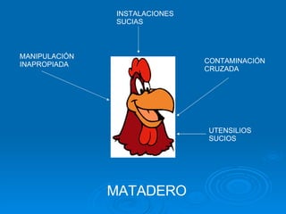 MATADERO MANIPULACIÓN INAPROPIADA CONTAMINACIÓN CRUZADA INSTALACIONES SUCIAS UTENSILIOS SUCIOS 