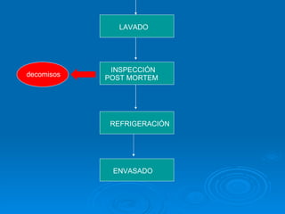 INSPECCIÓN  POST MORTEM REFRIGERACIÓN LAVADO decomisos ENVASADO 