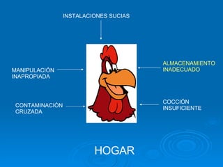 HOGAR MANIPULACIÓN INAPROPIADA ALMACENAMIENTO INADECUADO INSTALACIONES SUCIAS COCCIÓN INSUFICIENTE CONTAMINACIÓN CRUZADA 