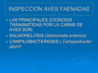 INSPECCIÓN AVES FAENADAS LAS PRINCIPALES ZOONOSIS TRANSMITIDAS POR LA CARNE DE AVES SON: SALMONELOSIS ( Salmonella enterica ) CAMPILOBACTERIOSIS (  Campylobacter jejuni ) 